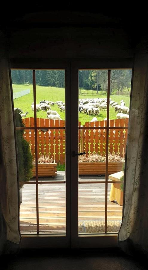 Domek Otulina Zakopane Kültér fotó